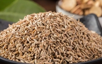 孜然包裝機，給您最好的享受